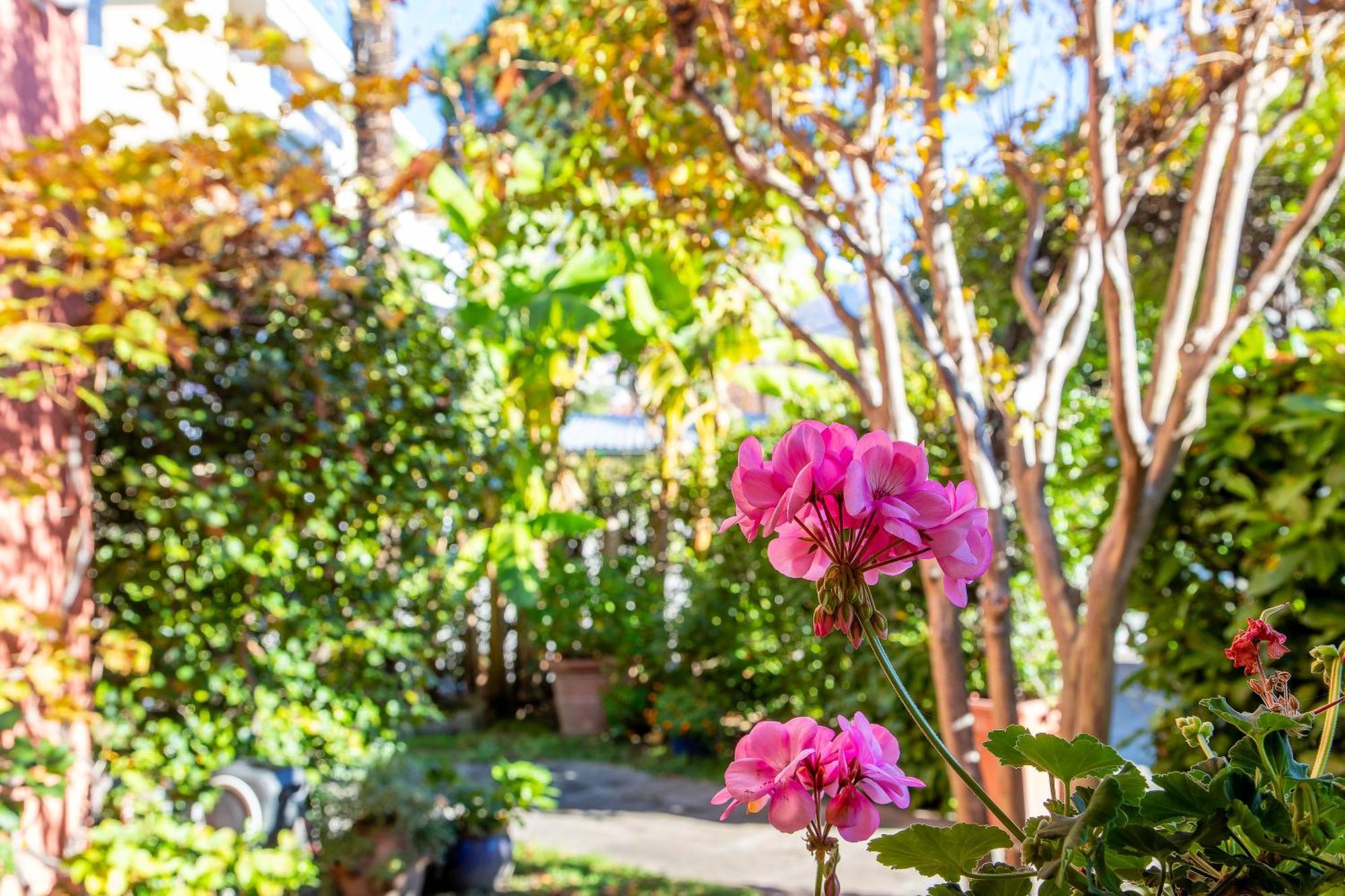 Garni Dei Fiori Hotel Ascona